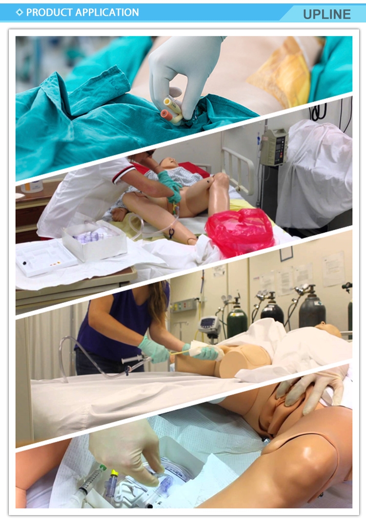 Application of Foley Catheter